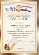 2 место ВДПО Тарима Анастасия